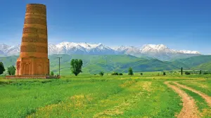 thumb image