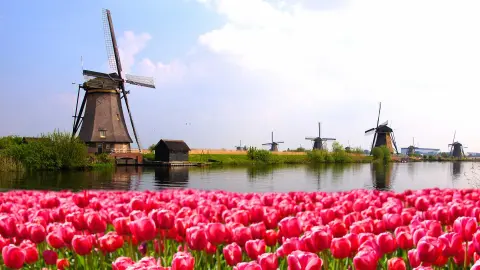 Niederlande-placeholder