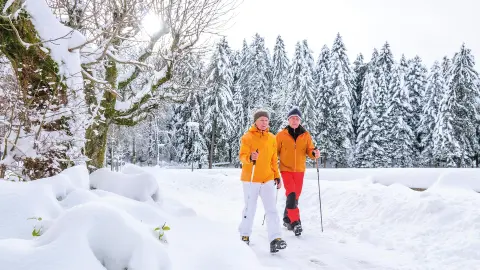 Einführungskurs Nordic Walking inklusive-placeholder