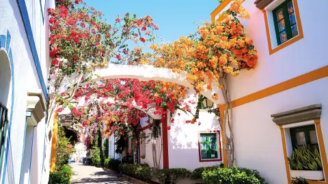 Puerto de Mogan-placeholder