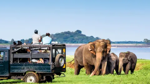 5236-37-Sri-Lanka_content_1920x1080px_Elefantensafari-in-Minneriya-placeholder