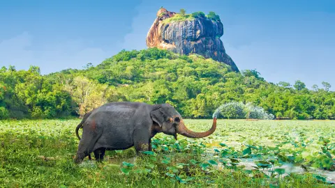 5236-37-Sri-Lanka_content_1920x1080px_Sigiriya_titel-placeholder