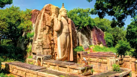5236-37-Sri-Lanka_content_1920x1080px_aukana-placeholder