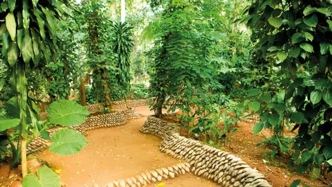 5236-37-Sri-Lanka_content_1920x1080px_gewuerzplantage-placeholder