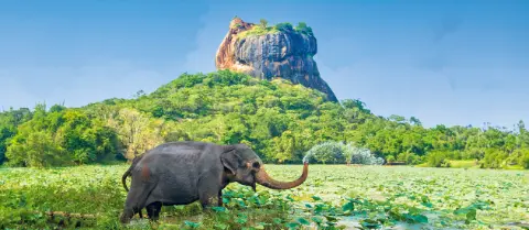 5236-37-Sri-Lanka_hauptbild_Slider_2_1262x550px_Titel-placeholder