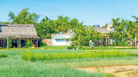 5280-81_Vietnam-Kambotscha_content_1920x1080px_Kr?uterdorf-Tra-Que-placeholder