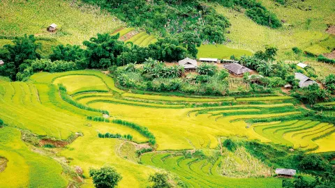 5280-81_Vietnam-Kambotscha_content_1920x1080px_Reisfeld-placeholder