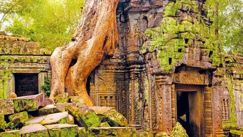 5280-81_Vietnam-Kambotscha_content_1920x1080px_Ta-Prohm-placeholder