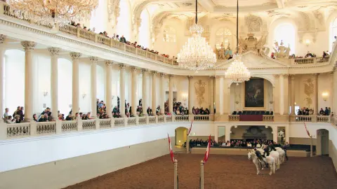5390_Seefestspiele-Moerbisch_content_1920x1080px_Span-Hofreitschule-placeholder