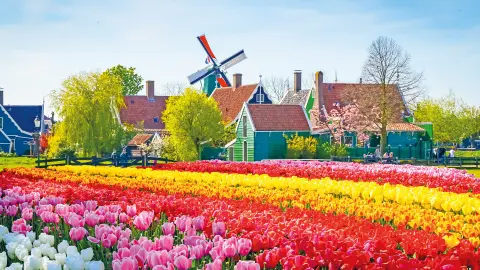 5526_Natürlich-Holland_content_1920x1080px_Häuser-in-Zaanse-Schans-placeholder