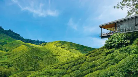 7088-89_Singapur-&-Malaysia_content_1920x1080px_Cameron-Highlands-Teeplantage-placeholder