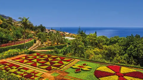 Blütenzauber auf Madeira Botanischer Garten 2-placeholder
