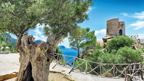 5877_Premium-Kurlaub-auf-Mallorca_content_1920x1080px__Banyalbufar-placeholder