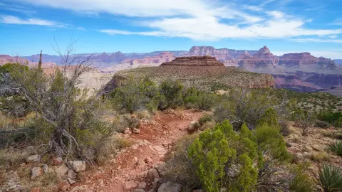 6850_Amerika-West_content_1920x1080px_Grand-Canyon_03-placeholder