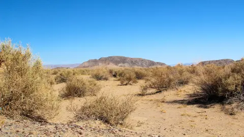 6850_Amerika-West_content_1920x1080px_Mojave-Wueste-placeholder