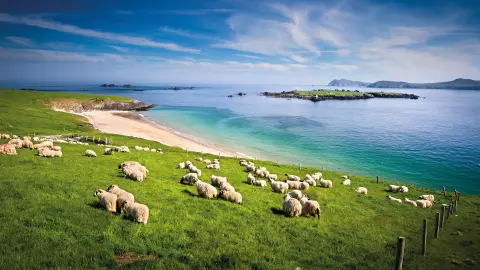 6657_Glanzlichter-Irlands_content_1920x1080px_dingle-peninsula-placeholder