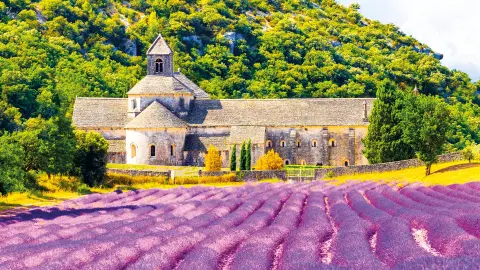 6659-60_Suedfrankreich_content_1920x1080px_Abbaye_de_Senanque_titel-placeholder