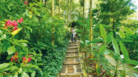 6802-03_Magische-Wunderwelt-Malaysia-und-Singapur_content_1920x1080px_gewuerzgarten-placeholder