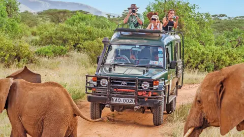 6804_Kenia_content_1920x1080px_Safari_Elefanten-placeholder