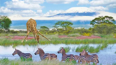 6804_Kenia_content_1920x1080px_Wasserloch-placeholder