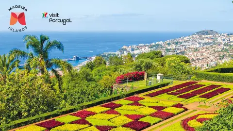 6806-09-Bluetenzauber-auf-Madeira_content_1920x1080px_madeira-titel_wkz-placeholder