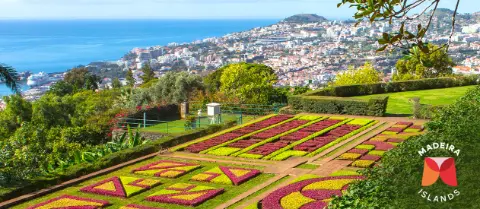 7066-71_Bluetenzauber-auf-Madeira_25_slider_1262x550px_WKZ-placeholder