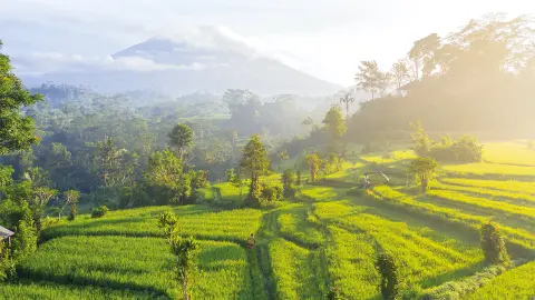 6815-16_bali_content_1920x1080px_DAY-2-(BALI-COUNTRYSIDE-2)-placeholder