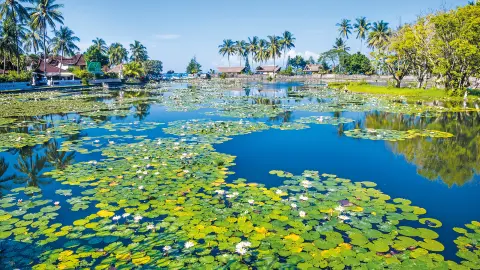 6815-16_bali_content_1920x1080px_Lotus-lagoon-at-Candidasa-placeholder