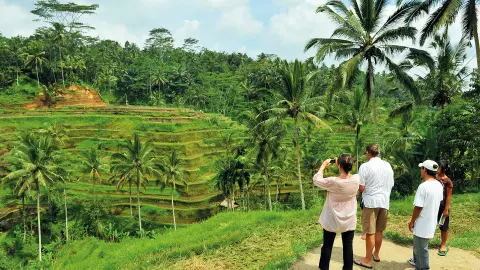 6815-16_bali_content_1920x1080px_Tourists-at-Tegalalang-rice-terrace-placeholder