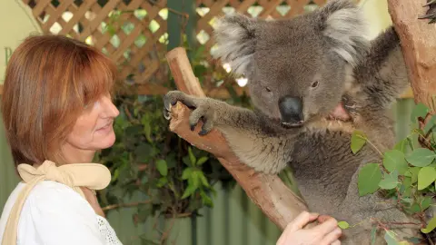 6848_Australien_ausflug_1920x1080px_Featherdale-Tierpark-placeholder