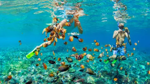 6848_Australien_ausflug_1920x1080px_Great-Barrier-Reef-schnorcheln-placeholder