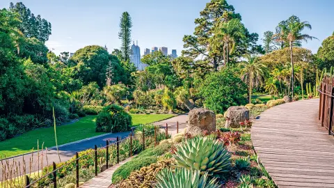 6848_Australien_Melbourne_Botanischer-Garten-placeholder