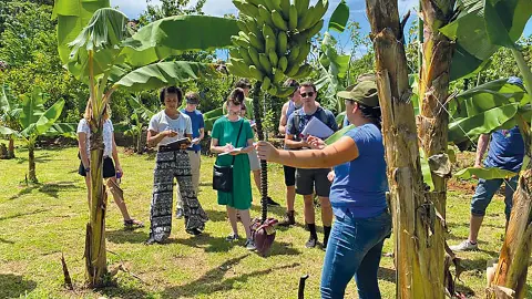 6831_Costa-Rica_content_1920x1080px_Bananen-Tour-1-placeholder
