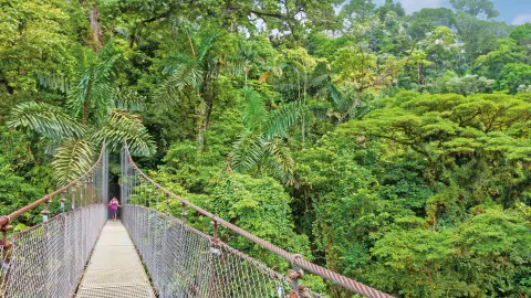 6831_Costa-Rica_content_1920x1080px_Erlebnis-Haengebruecken-Park_2-placeholder