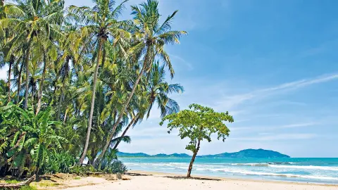 6831_Costa-Rica_content_1920x1080px_Strand-von-Tamarindo-placeholder
