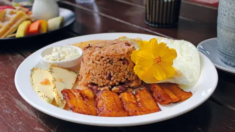 6831_Costa-Rica_content_1920x1080px_Traditionelles-Reisgericht-Gallo-Pinto-placeholder