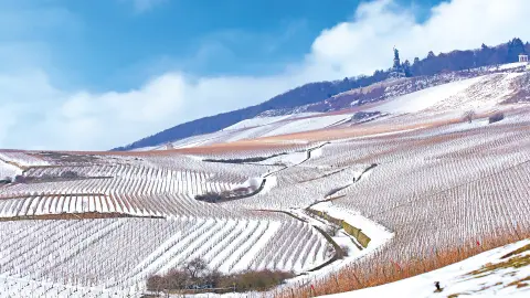 Niederwalddenkmal hoch über Rüdesheim-placeholder
