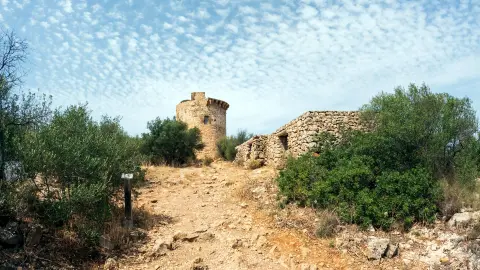 Cap Andritxol-placeholder