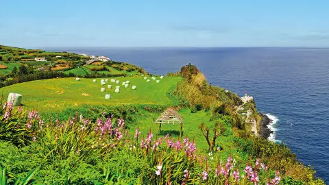 Nordküste der Insel-placeholder
