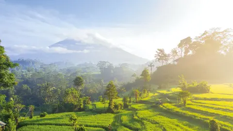 DPS111-112_bali_content_1920x1080px_reisfelder-placeholder