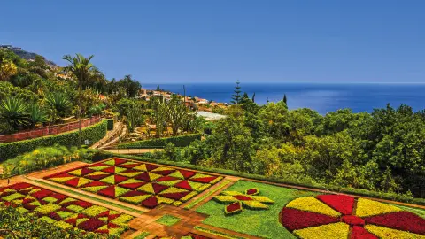 6806-09-Bluetenzauber-auf-Madeira_content_1920x1080px_botanischer-garten_2.jpg-placeholder