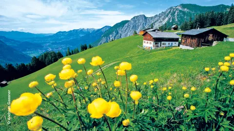 Alpenidylle in Montafon-placeholder