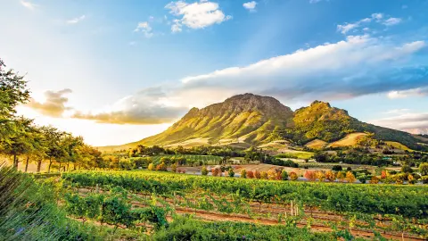 6847_Kapstadt_Weinlandschaft-bei-Stellenbosch-placeholder