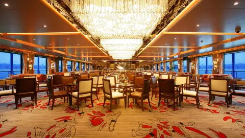 Schiff Century Paragon Bar-placeholder