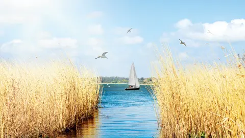 DEU616_Deutschlands-Küstenparadiese_content_1920x1080px_Landschaft-an-der-Schlei-placeholder