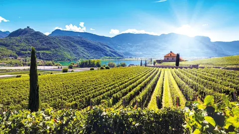Kalterer See in Italien-placeholder