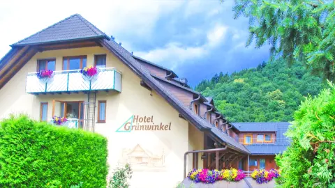 Schwarzwald Hotel Grünwinkel in Oberharmersbach, Außenansicht-placeholder