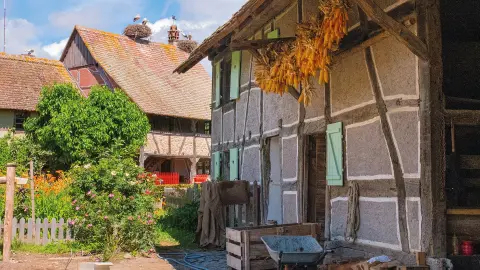 5382_Elsass-Vogesen_content_1920x1080px_ECOMUSEE_DALSACE_sternenberg2_ecomusee-placeholder