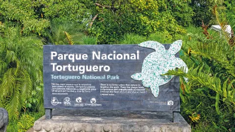 Tortuguero-Nationalpark-placeholder