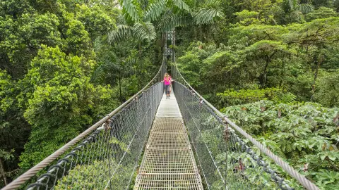 Hängebrückenpark (zubuchbar)-placeholder
